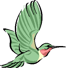 bird