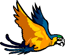 bird